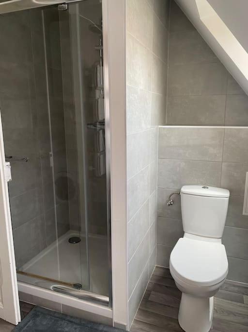Appartement Cosy A Кольмар Екстер'єр фото