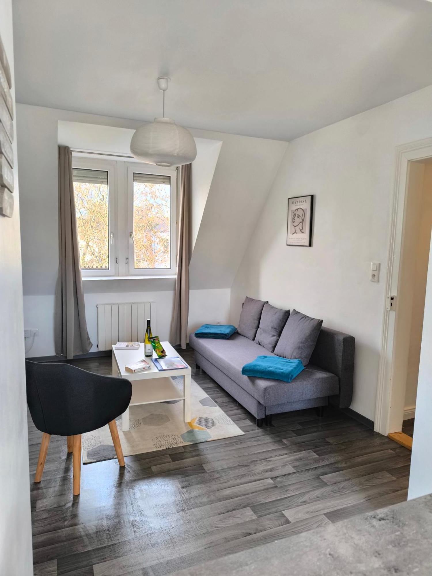 Appartement Cosy A Кольмар Екстер'єр фото