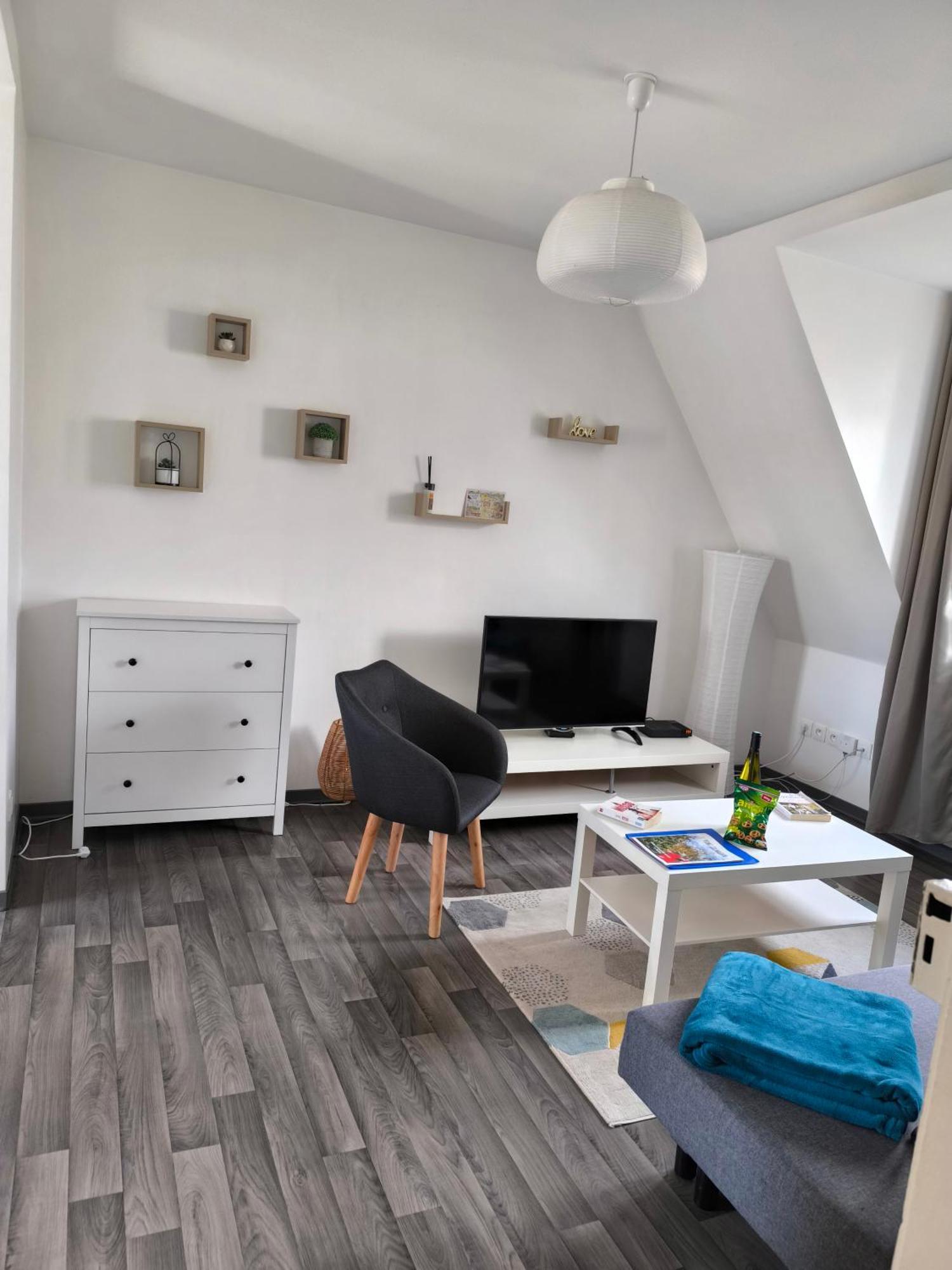 Appartement Cosy A Кольмар Екстер'єр фото