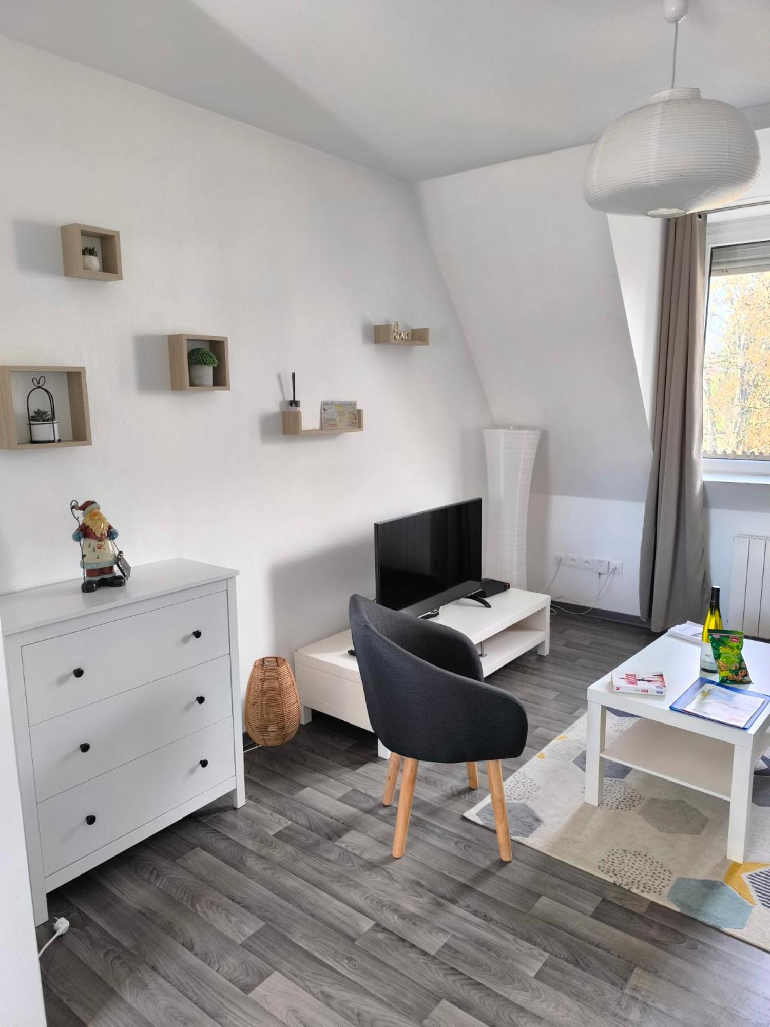 Appartement Cosy A Кольмар Екстер'єр фото