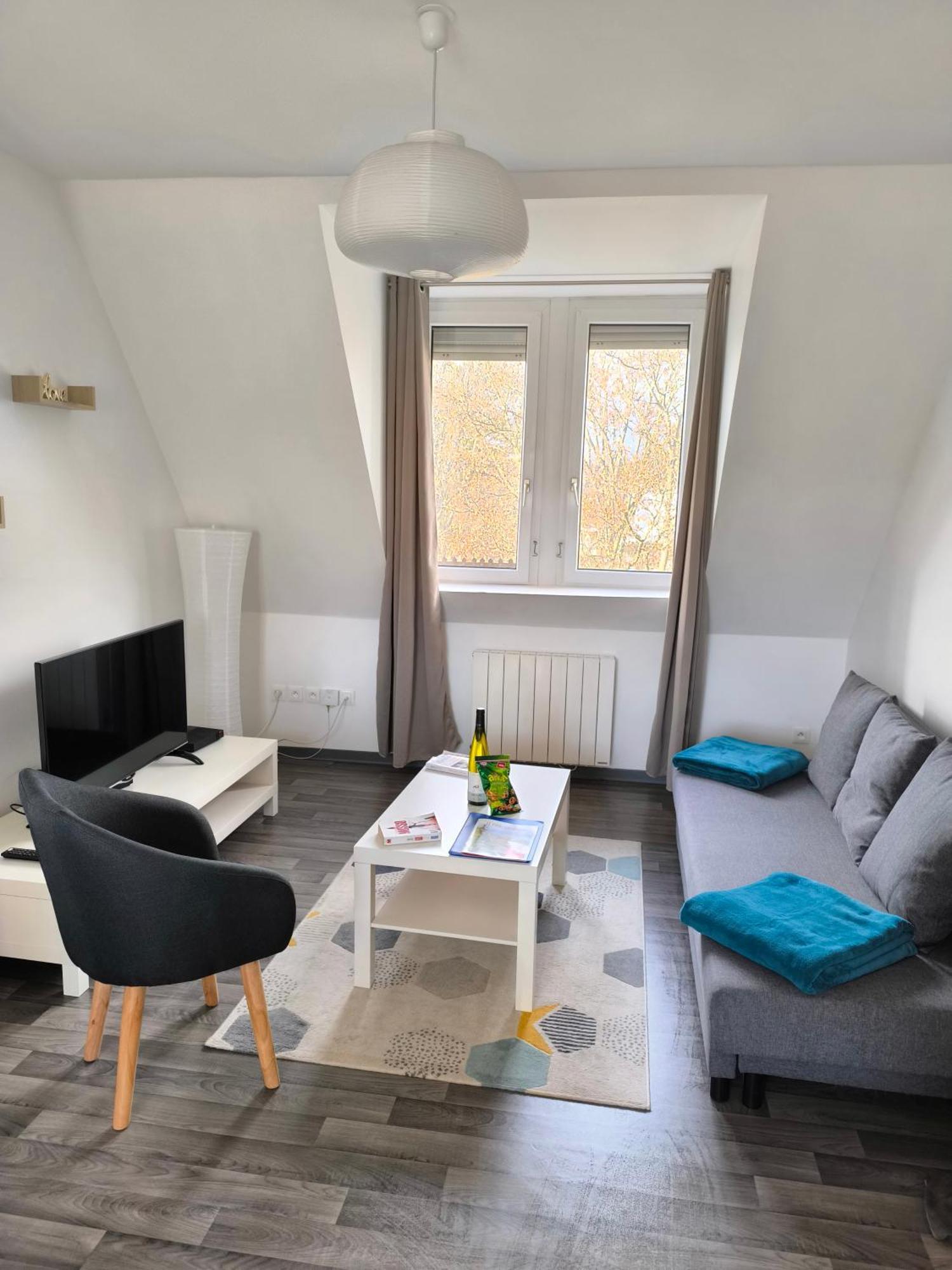 Appartement Cosy A Кольмар Екстер'єр фото